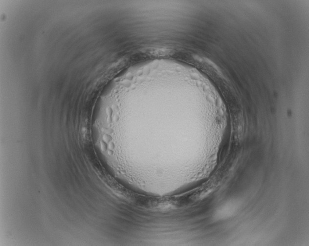 X0000073930553200609082305