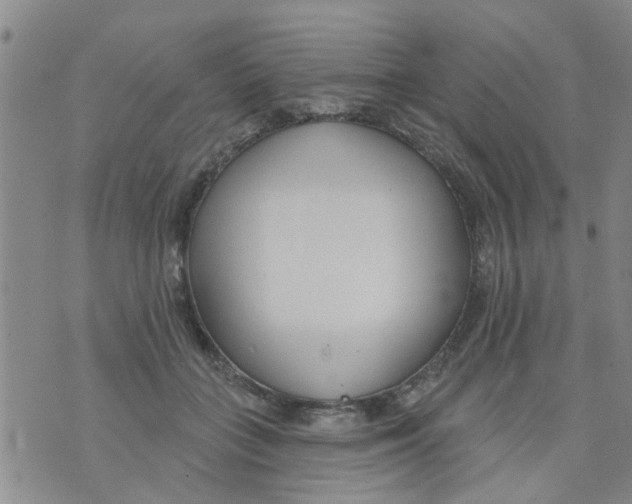 X0000073930555200609082305