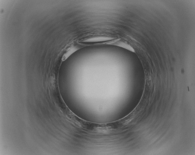 X0000073930556200609082305