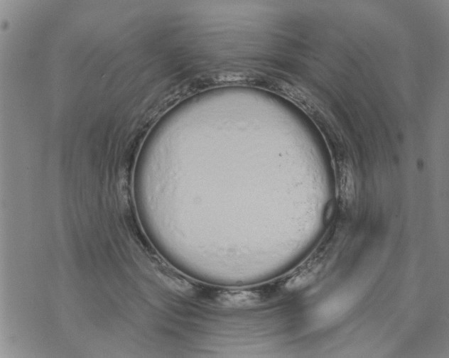 X0000073930557200609082305