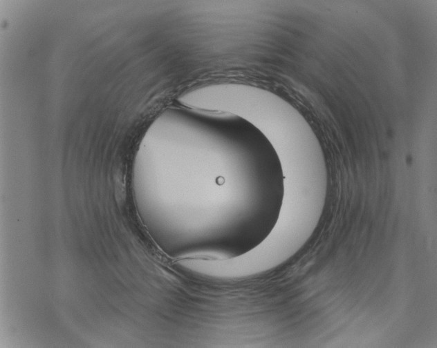 X0000073930558200609082306