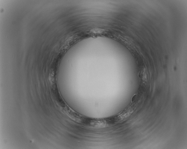 X0000073930559200609082306