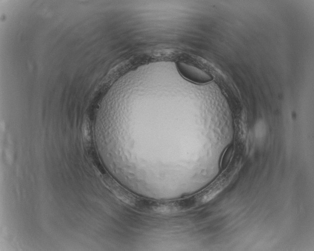 X0000073930561200609082306