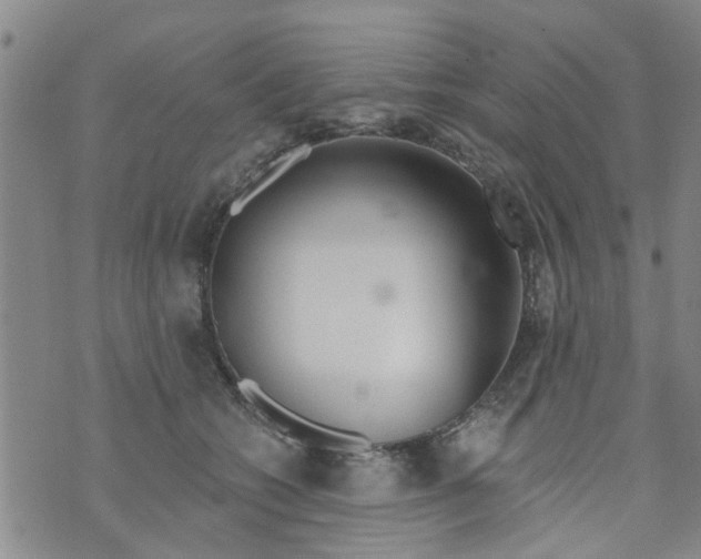 X0000073930562200609082306