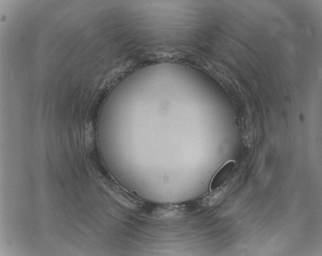 X0000073930563200609082306