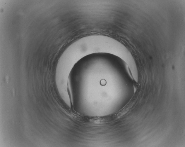 X0000073930564200609082306