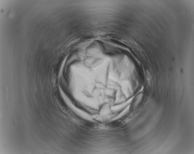 X0000073930565200609082306