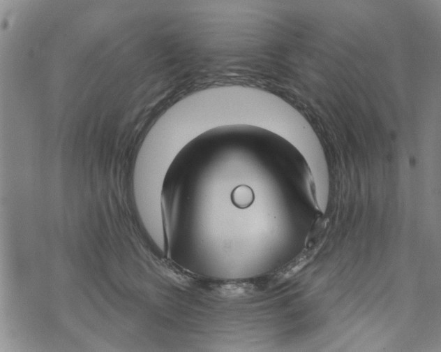 X0000073930566200609082306