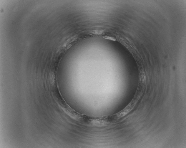 X0000073930568200609082306