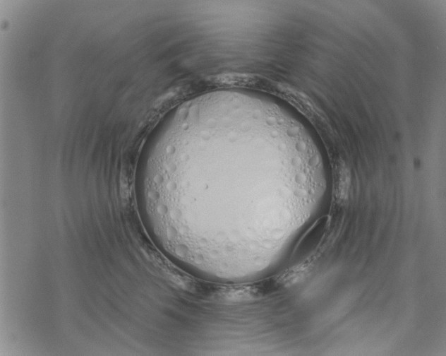 X0000073930569200609082306