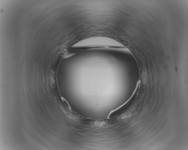 X0000073930570200609082306