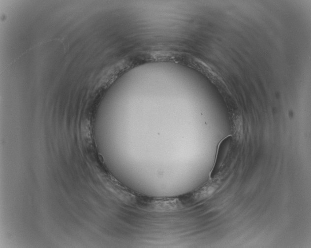 X0000073930571200609082306