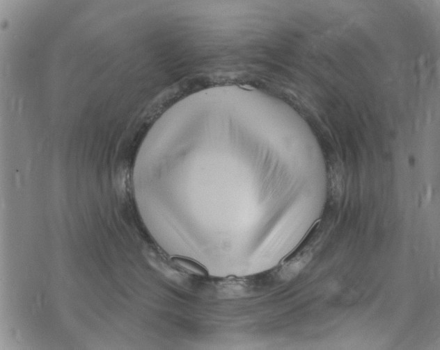 X0000073930574200609082306