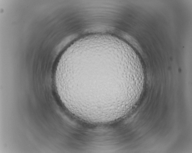 X0000073930578200609082305