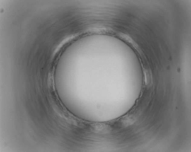 X0000073930579200609082305