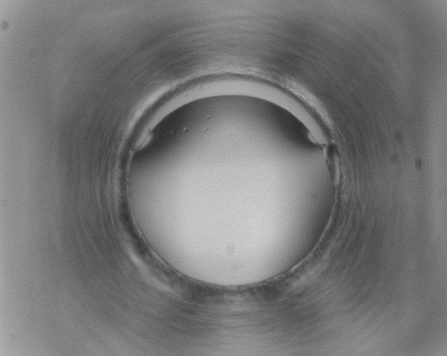 X0000073930580200609082305