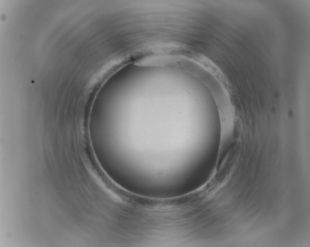 X0000073930581200609082305