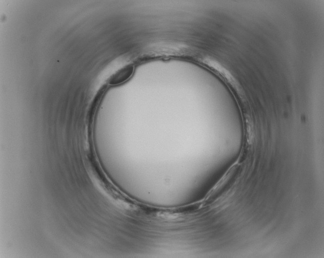 X0000073930582200609082305