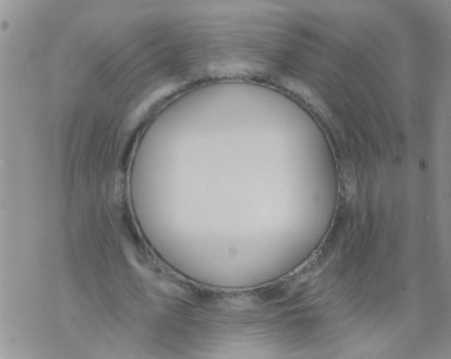 X0000073930583200609082305