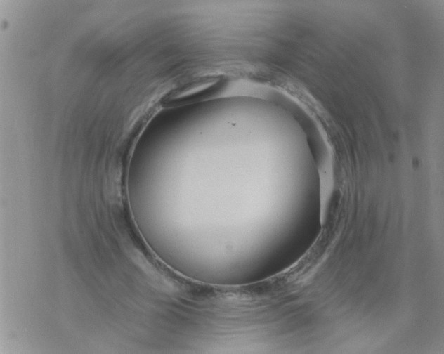 X0000073930585200609082305