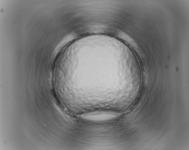 X0000073930586200609082305