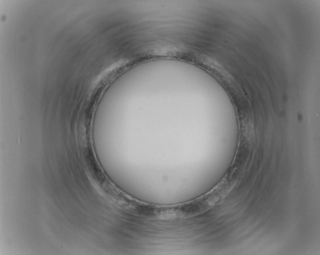 X0000073930587200609082305