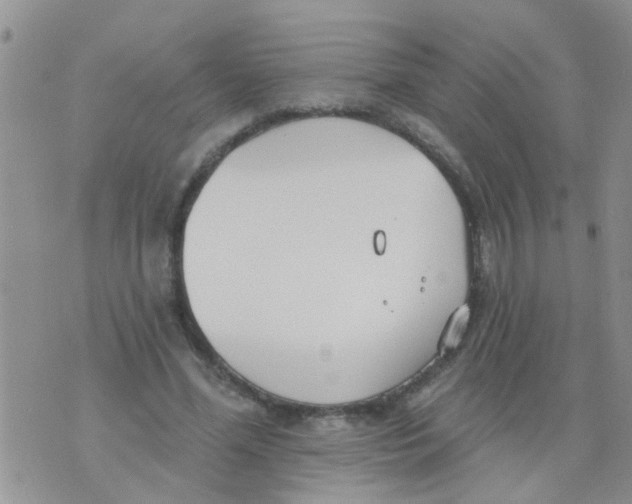 X0000073930588200609082305