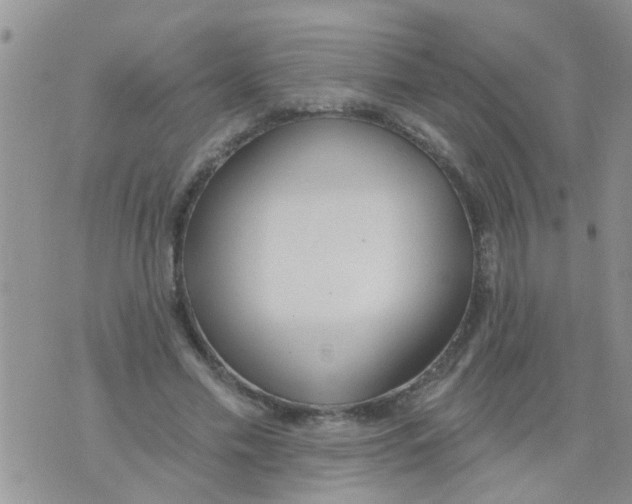 X0000073930589200609082305