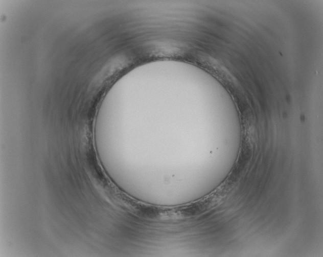 X0000073930591200609082305