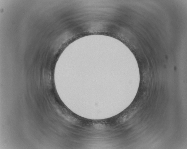 X0000073930592200609082305