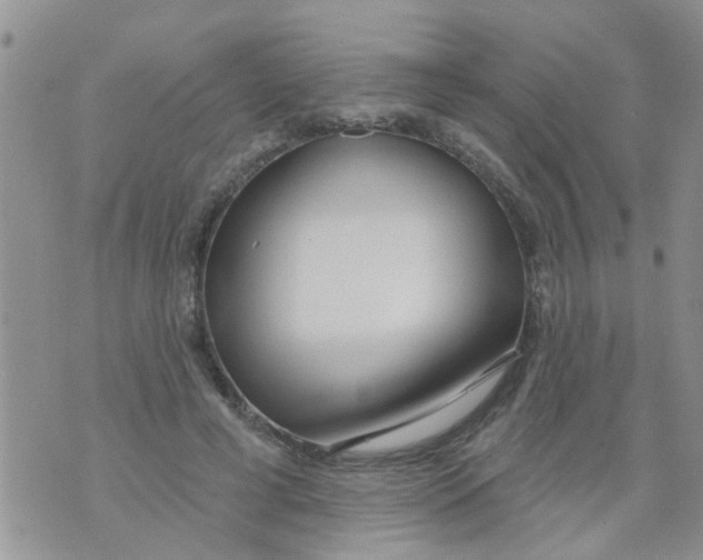 X0000073930593200609082305