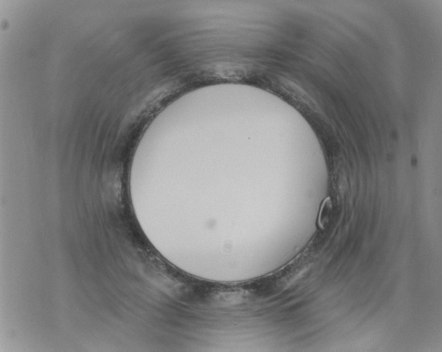 X0000073930595200609082305