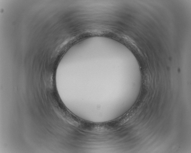 X0000073930596200609082305