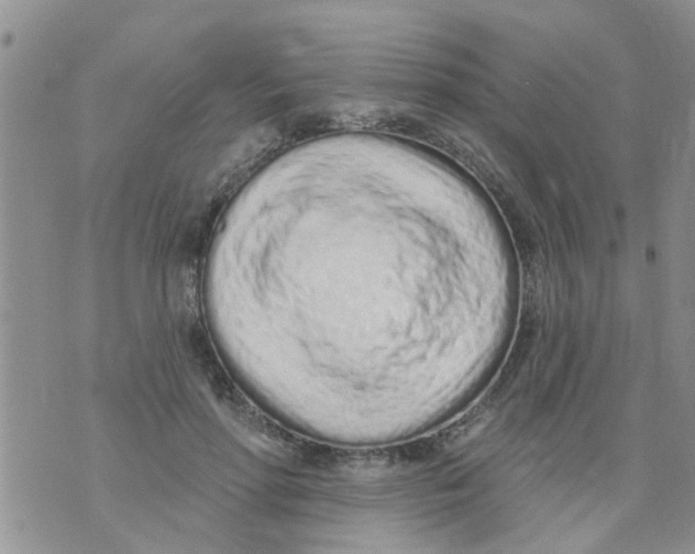 X0000073930598200609082305