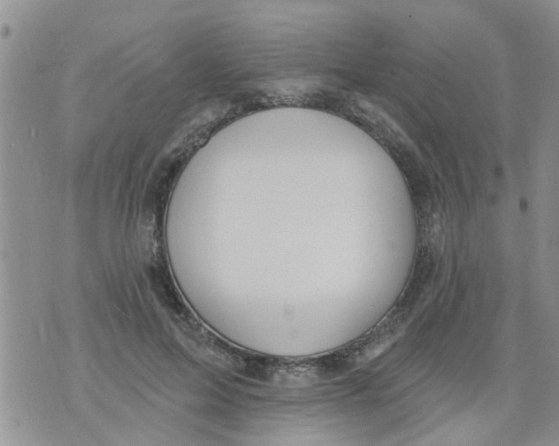 X0000073930599200609082305