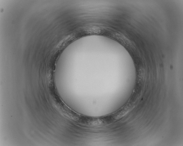 X0000073930600200609082305