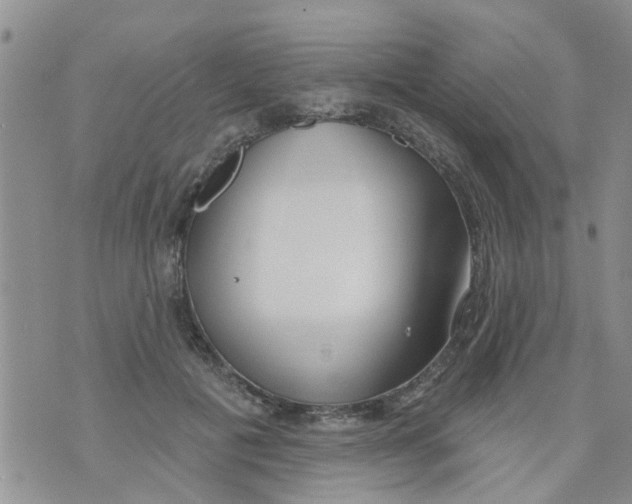 X0000073930601200609082305