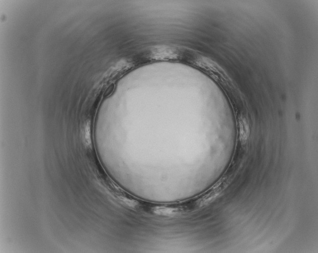 X0000073930602200609082305