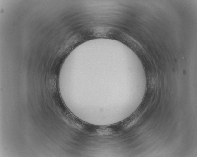 X0000073930603200609082305