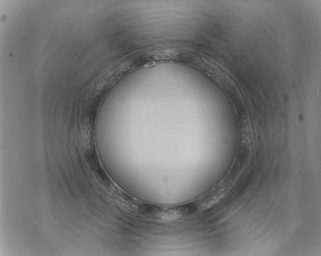 X0000073930604200609082305