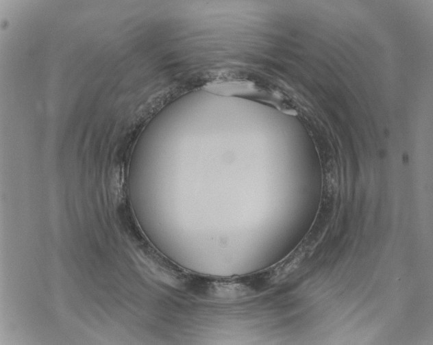 X0000073930605200609082305