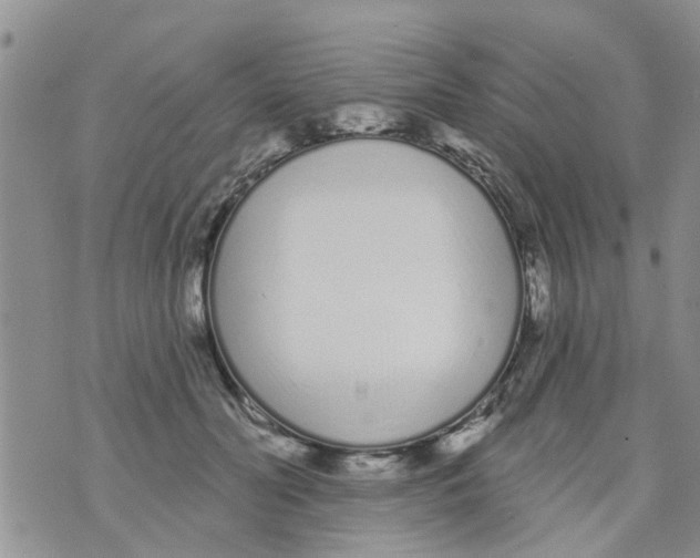 X0000073930606200609082305