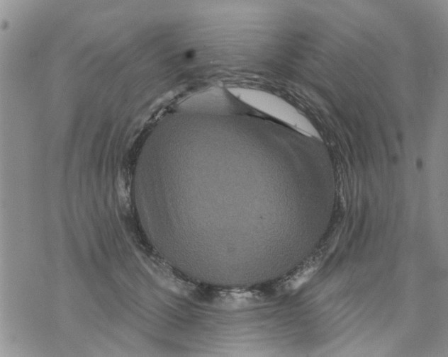 X0000073930607200609082305