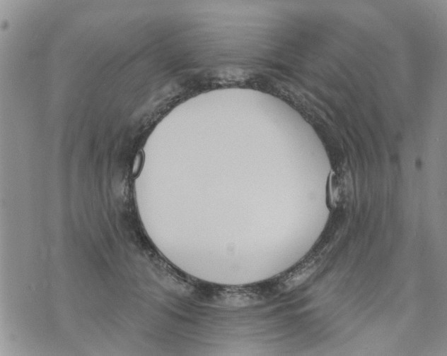 X0000073930608200609082305