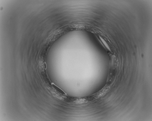 X0000073930609200609082305