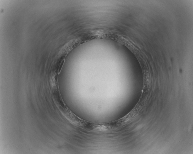 X0000073930611200609082304