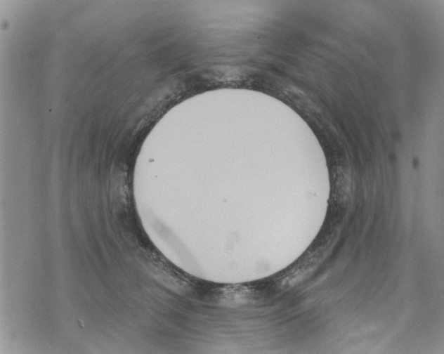 X0000073930612200609082304