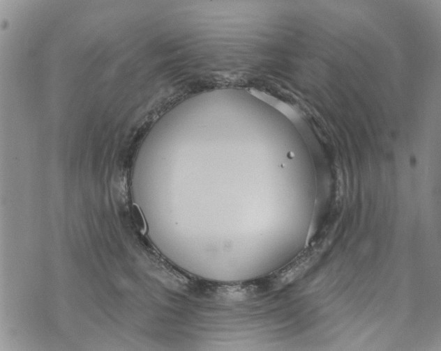 X0000073930613200609082304