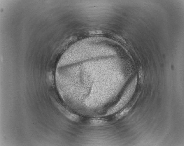 X0000073930614200609082304