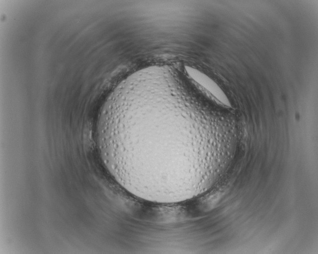 X0000073930615200609082304